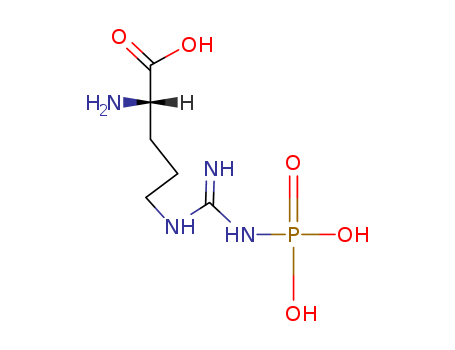 (S)-2-Amino-5-(3-phosphonoguanidino)pentanoic acid
