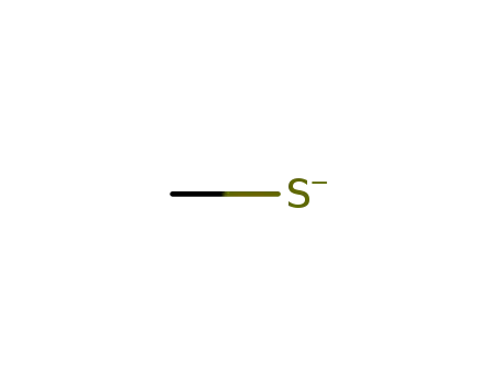 Methylsulfide anion