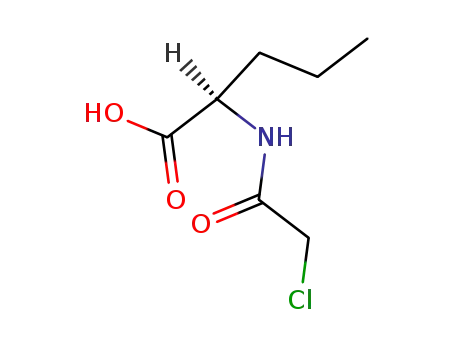 Molecular Structure of 910886-24-7 (N-Chloroacetyl D-norvaline)
