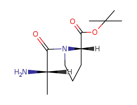 Molecular Structure of 29375-30-2 (L-Alanyl-L-proline tert-Butyl Ester)