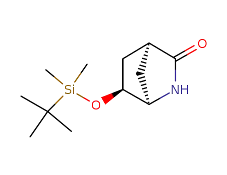 Molecular Structure of 168773-48-6 ((1R,4S,6S)-6-(tert-Butyldimethylsiloxy)-2-azabicyclo<2.2.1>-3-heptanone)