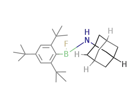 Molecular Structure of 152240-83-0 (adamantylamino-2,4,6-tri-t-butylphenyl fluoroborane)