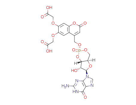 [6, 7- Bis(carboxymethoxy)coumarin- 4- yl]methyl- guanosine- 3', 5'- cyclic monophosphate ( BCMCM-caged cGMP )