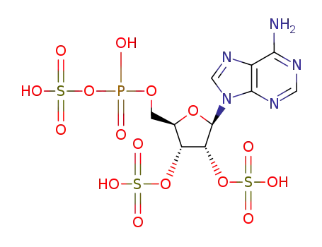 Molecular Structure of 114252-96-9 (<i>O</i><sup>5'</sup>-(hydroxy-sulfooxy-phosphoryl)-<i>O</i><sup>2'<sub>,<i>O</i></sub>3'</sup>-disulfo-adenosine)