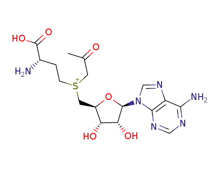 S-adenosyl-S-(propan-2-one)-L-methionine