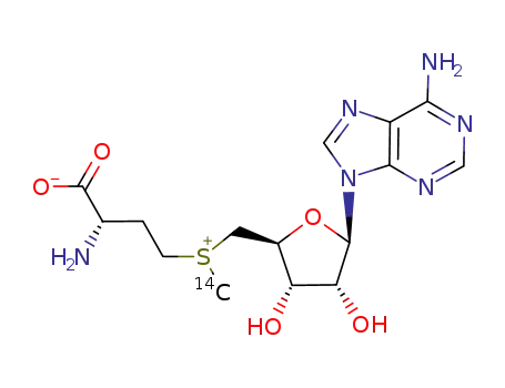 Molecular Structure of 4989-98-4 (S-ADENOSYL-L-METHIONINE, [METHYL-14C])