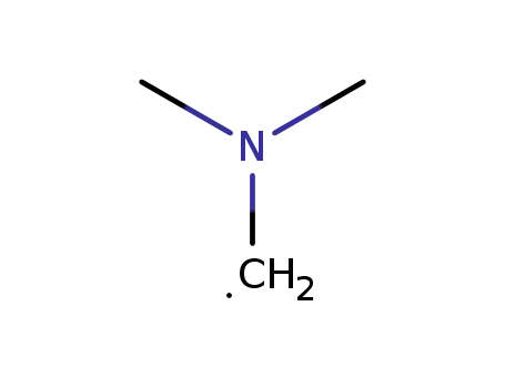 Molecular Structure of 30208-47-0 (Methyl, (dimethylamino)-)