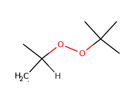 Molecular Structure of 54156-76-2 (Propyl, 2-[(1,1-dimethylethyl)dioxy]-)