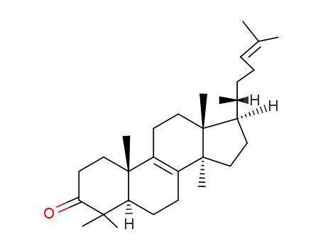 Molecular Structure of 5539-04-8 ((5xi)-lanosta-8,24-dien-3-one)