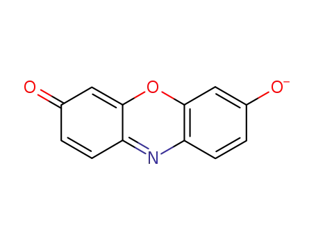 Molecular Structure of 23209-94-1 (7-Hydroxy-3H-phenoxazine-3-one anion)
