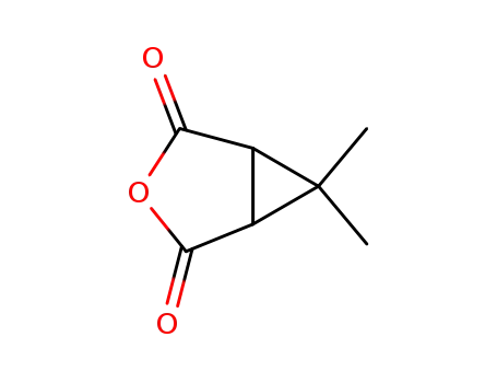 Molecular Structure of 67911-21-1 (Caronic anhydride)