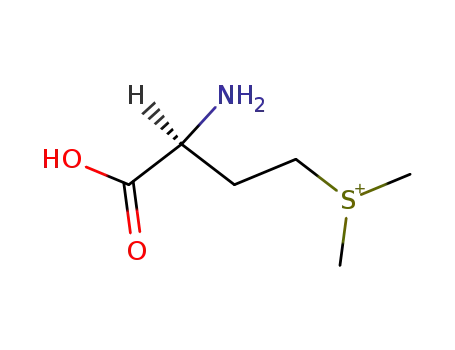 Molecular Structure of 6708-35-6 ([(3S)-4-Oxo-4-hydroxy-3-aminobutyl]dimethylsulfonium)
