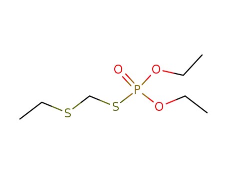 Phoratoxon