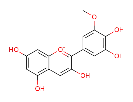 페투니딘 염화물