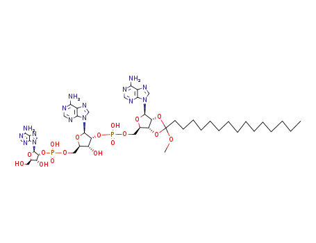 adenylyl-(2'-5')-adenylyl-(2'-5')-2',3'-O-(1-methoxyhexadecylidene)adenosine