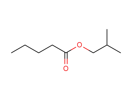 Molecular Structure of 10588-10-0 (ISOBUTYL VALERATE)