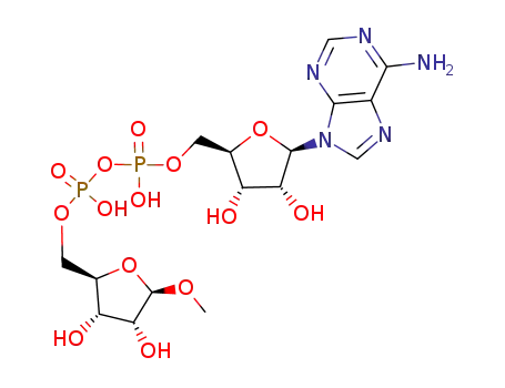 β-1-O-methyl-ADP-ribose