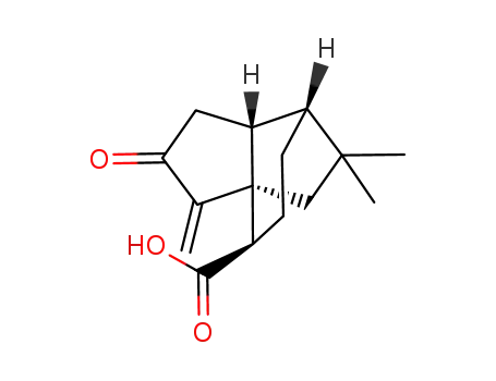 Molecular Structure of 78739-67-0 ((3aR*,4S*,7S*,7aS*)-octahydro-8,8-dimethyl-3-methylene-2-oxo-3a,7-ethano-3aH-indene-4-carboxylic acid)