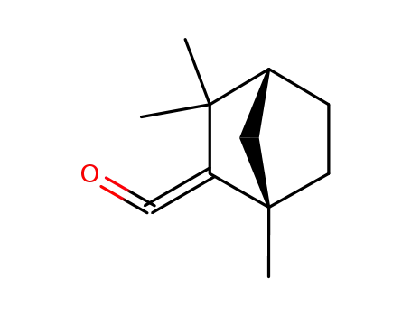 Molecular Structure of 78672-59-0 ((1,3,3-Trimethyl-bicyclo[2.2.1]hept-2-ylidene)-methanone)