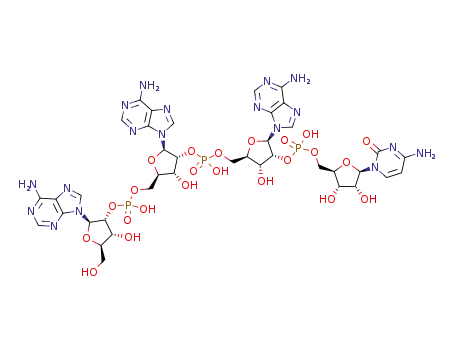 A<sub>2</sub>'p5'A<sub>2</sub>'p5'A<sub>2</sub>'p5'C