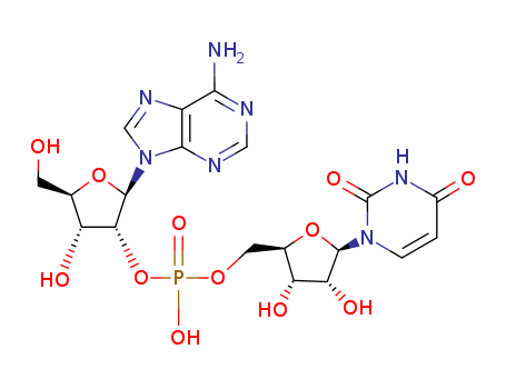 Uridine, adenylyl-(2'&reg;5')- (9CI)