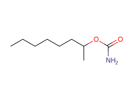 Molecular Structure of 6319-48-8 (octan-2-yl carbamate)