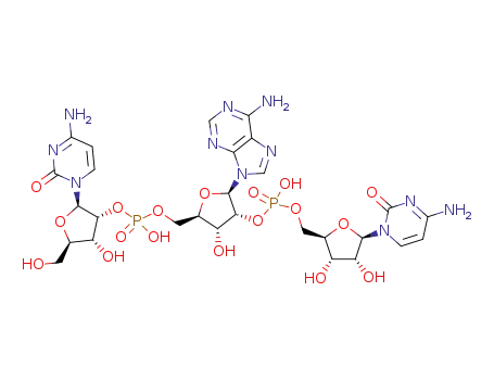 C<sub>2</sub>'p5'A<sub>2</sub>'p5'C