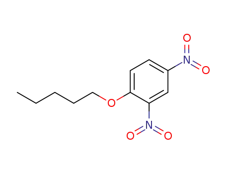 Molecular Structure of 13417-45-3 ((2,4-dinitro-phenyl)-pentyl ether)