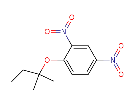 Molecular Structure of 37445-91-3 (1,1-Dimethylpropyl-2,4-dinitrophenolat)