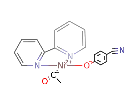 Ni(COCH<sub>3</sub>)(OC<sub>6</sub>H<sub>4</sub>CN)(C<sub>10</sub>H<sub>8</sub>N<sub>2</sub>)