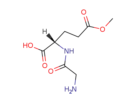 Molecular Structure of 90641-30-8 (Glycyl-<γ-methyl>-L-glutamat)