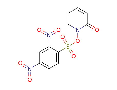 Molecular Structure of 1259401-63-2 (2-oxopyridin-1(2H)-yl 2,4-dinitrobenzenesulfonate)