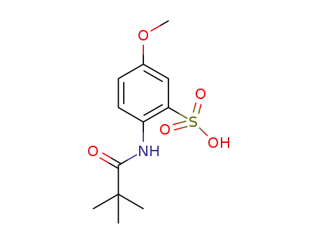 Molecular Structure of 1190954-82-5 (2-(2,2-dimethylpropionylamino)-5-methoxy-benzenesulfonic acid)