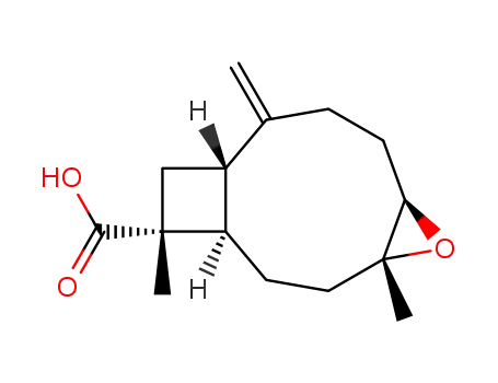 Molecular Structure of 108525-13-9 ((1R,4R,5R,9S,11R)-4,5-epoxy-caryophyll-8<sup>(14)</sup>-en-12-oic acid)