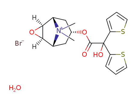 Molecular Structure of 411207-31-3 ((1R,5S)-7-{[hydroxy(dithiophen-2-yl)acetyl]oxy}-9,9-dimethyl-3-oxa-9-azoniatricyclo[3.3.1.0~2,4~]nonane bromide hydrate (1:1:1))
