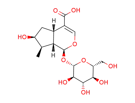Molecular Structure of 82509-41-9 ((1S,4aS,6S,7S,7aS)-1-(beta-D-glucopyranosyloxy)-6-hydroxy-7-methyl-1,4a,5,6,7,7a-hexahydrocyclopenta[c]pyran-4-carboxylic acid)