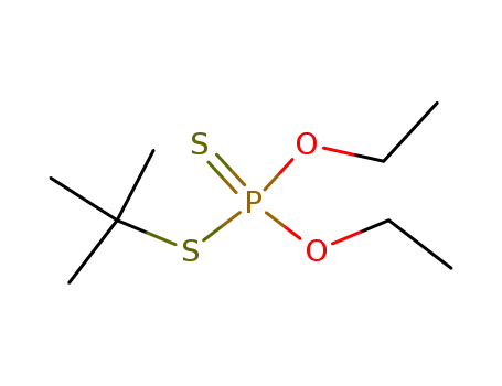 Molecular Structure of 66427-05-2 (S-tert-butyl O,O-diethyl phosphorodithioate)