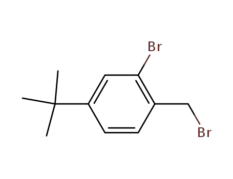 2-BROMO-1-BROMOMETHYL-4-TERT-BUTYL-BENZENE