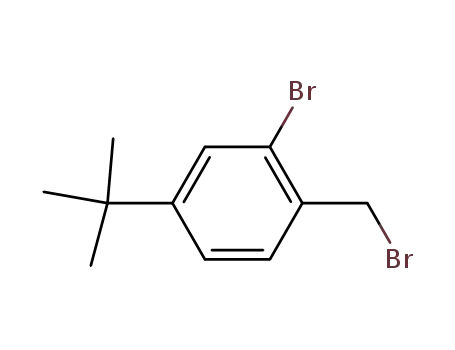 Molecular Structure of 246139-76-4 (2-BROMO-1-BROMOMETHYL-4-TERT-BUTYL-BENZENE)