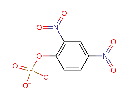 Molecular Structure of 18962-96-4 (2,4-dinitrophenyl phosphate dianion)