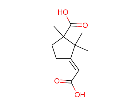 Cyclopentanecarboxylicacid, 3-(carboxymethylene)-1,2,2-trimethyl- (9CI)