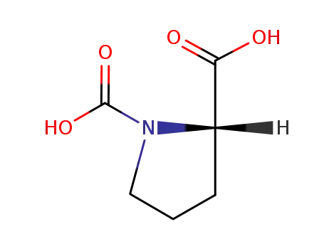 Molecular Structure of 54399-67-6 (1,2-Pyrrolidinedicarboxylicacid,(S)-(9CI))