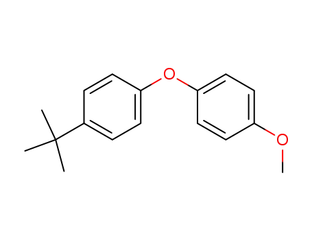Molecular Structure of 134822-96-1 (1-(tert-butyl)-4-(4-methoxyphenoxy)benzene)