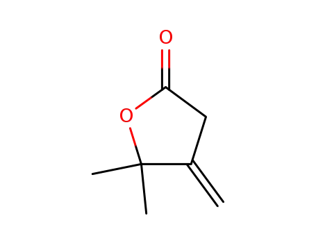 5,5-Dimethyl-4-methylene-dihydro-furan-2-one