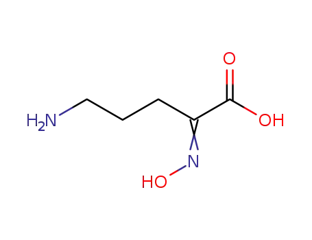 5-Amino-2-(hydroxyimino)pentansaeure