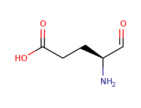 (4S)-4-amino-5-oxopentanoic acid