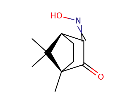 Molecular Structure of 22472-58-8 (ANTI-(1R)-(+)-CAMPHORQUINONE 3-OXIME)