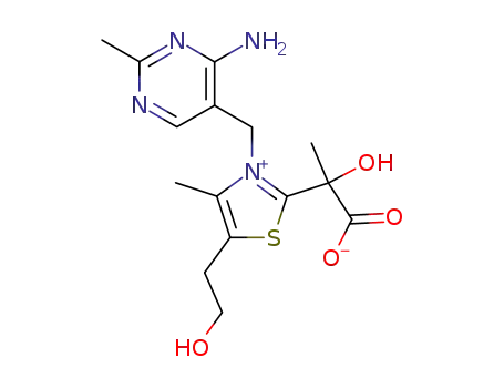 Molecular Structure of 82205-83-2 (alpha-lactylthiamine)