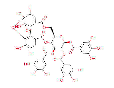 Isoterchebin