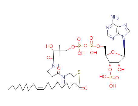 CoenzymeA,S-(9Z)-9-octadecenoate